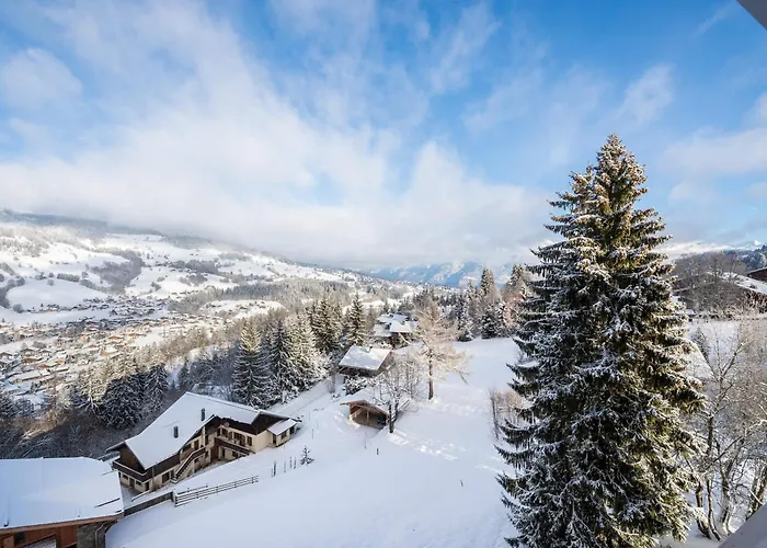 Au Mont D'arbois Proche Pistes, Parking Inclus - Fr-1-569-11 Megève